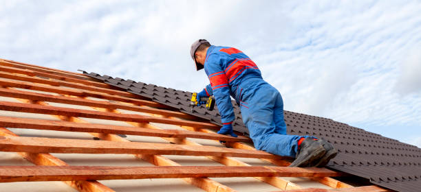 Best Roof Insulation Installation  in South Lyon, MI